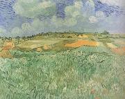 Plain near Auvers (nn04) Vincent Van Gogh